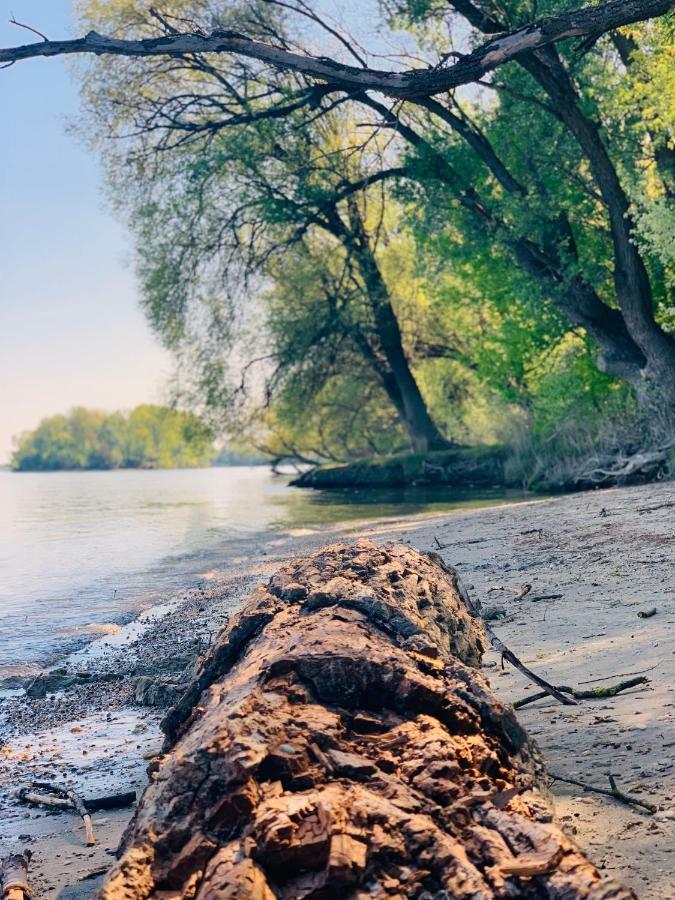 Nadi'S Holiday Home - Heart Of Woods, Szentendre Island Szigetmonostor Екстер'єр фото