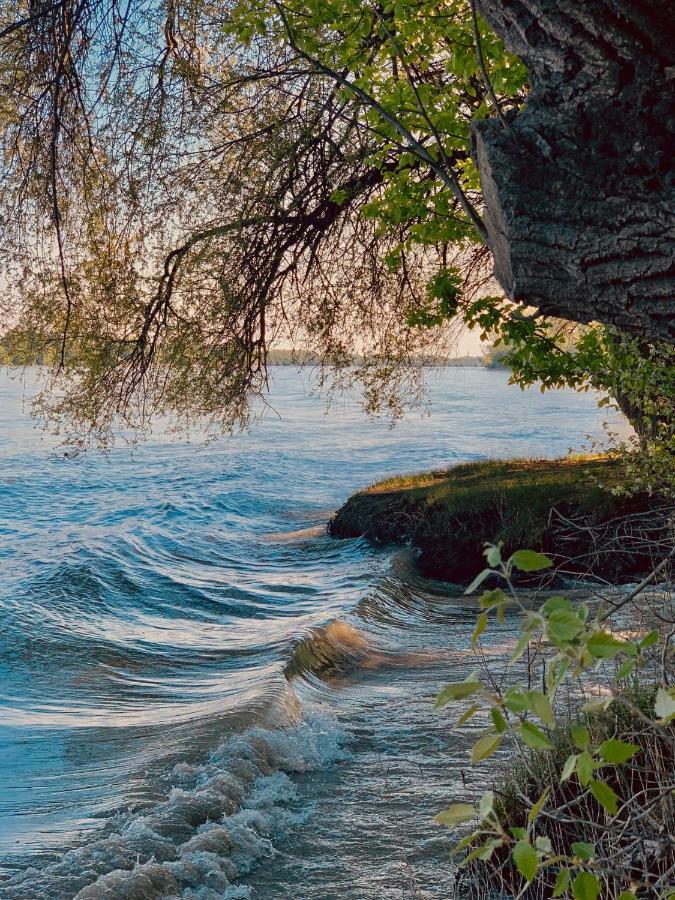 Nadi'S Holiday Home - Heart Of Woods, Szentendre Island Szigetmonostor Екстер'єр фото